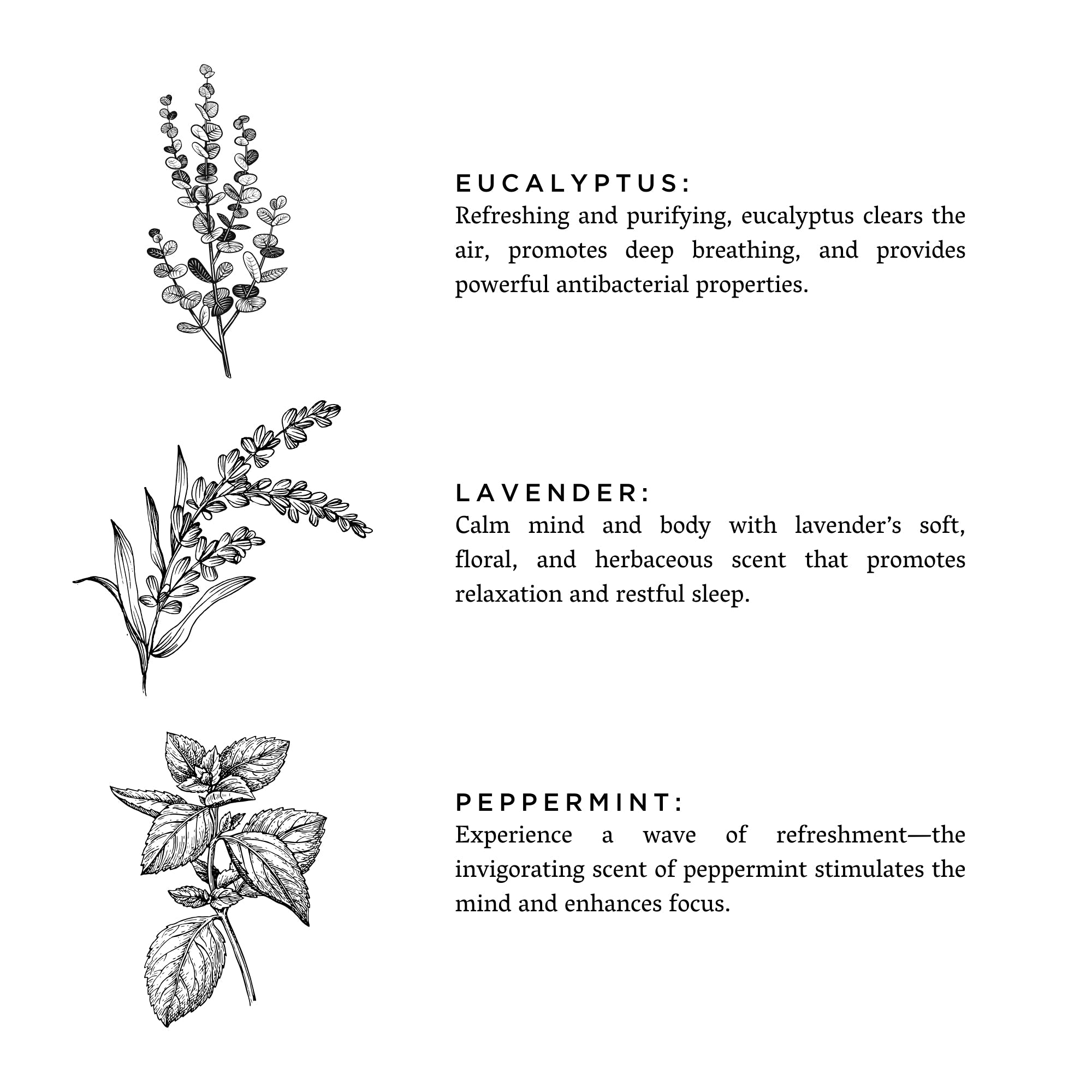 Of The Sea - Reed Diffuser (Eucalyptus + Lavender + Peppermint)